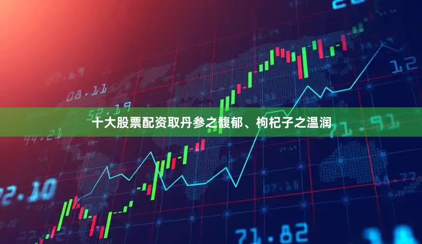 十大股票配资取丹参之馥郁、枸杞子之温润